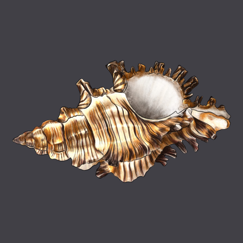 Murex Snail Heavyweight Hoodie by LillyAllenDesigns | Teevron