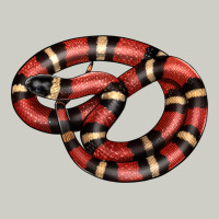 Milk Snake Heavyweight Hoodie | Teevron