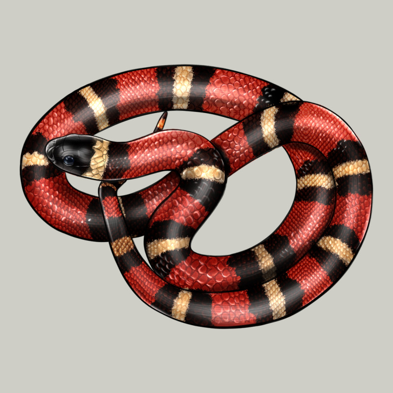 Milk Snake Heavyweight Hoodie by LillyAllenDesigns | Teevron