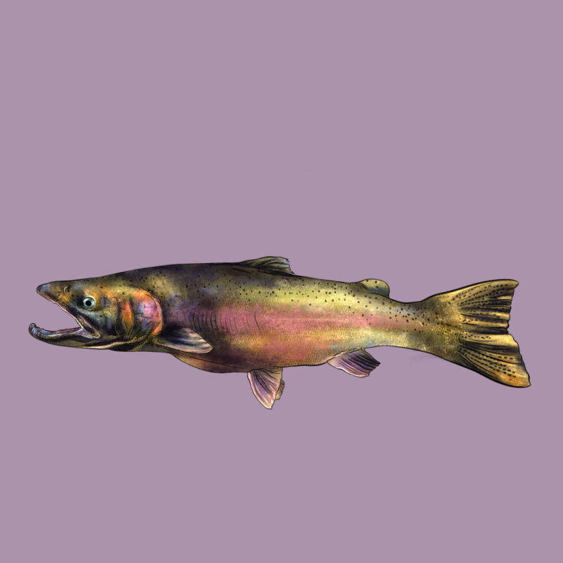 Steelhead Trout Heavyweight Hoodie by LillyAllenDesigns | Teevron
