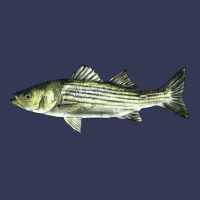 Striped Bass Heavyweight Hoodie | Teevron