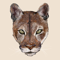 Florida Panther  Face Urban Hoodie | Teevron