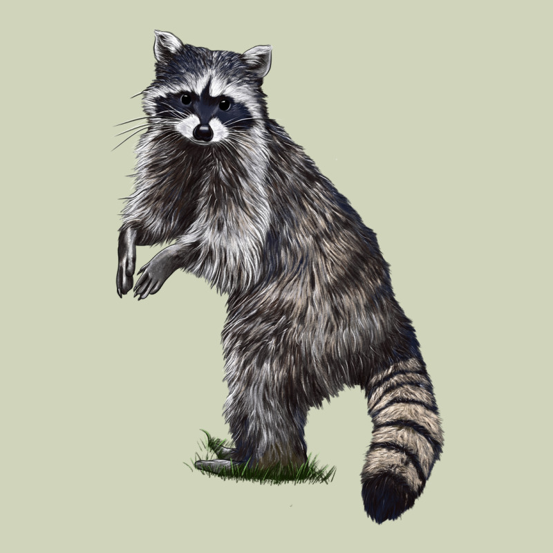 Raccoon Illustrations Heavyweight Hoodie by LillyAllenDesigns | Teevron