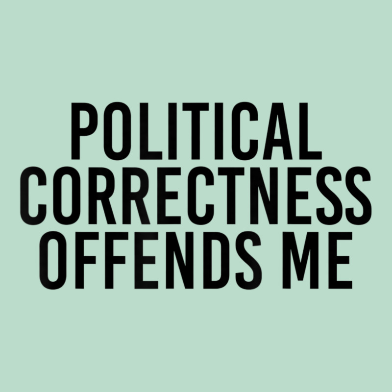 Political Correctness Offends Me Premium Hoodie by tuanDangUi | Teevron