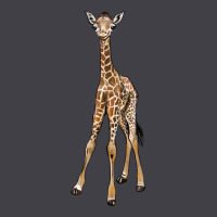 Baby Giraffe Heavyweight Hoodie | Teevron