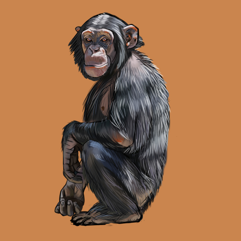 Chimpanzee Illustrations Heavyweight Hoodie by LillyAllenDesigns | Teevron