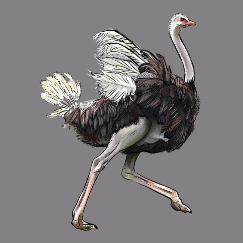 Ostrich Heavyweight Hoodie by LillyAllenDesigns | Teevron