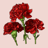 Scarlet Red Carnation Illustrations Premium Sweatshirt | Teevron