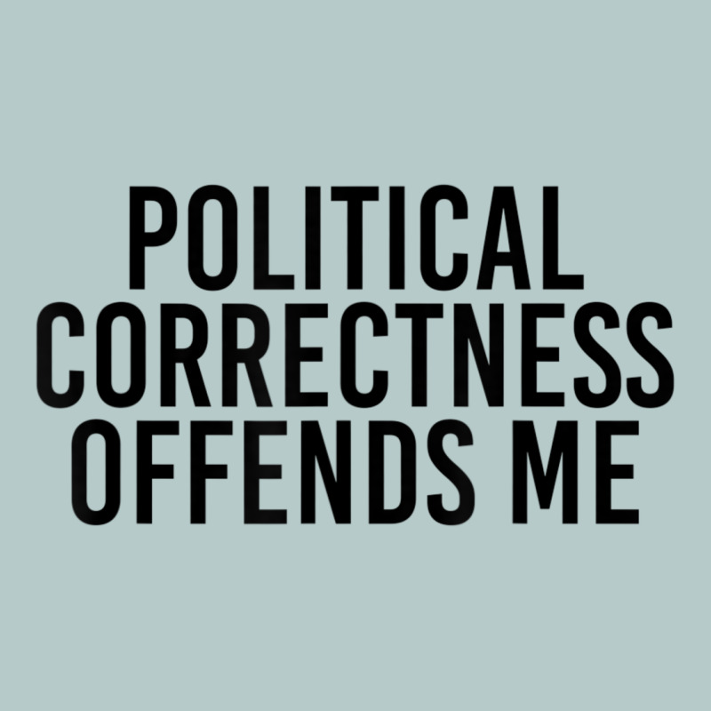 Political Correctness Offends Me Heavy Core Tee by tuanDangUi | Teevron