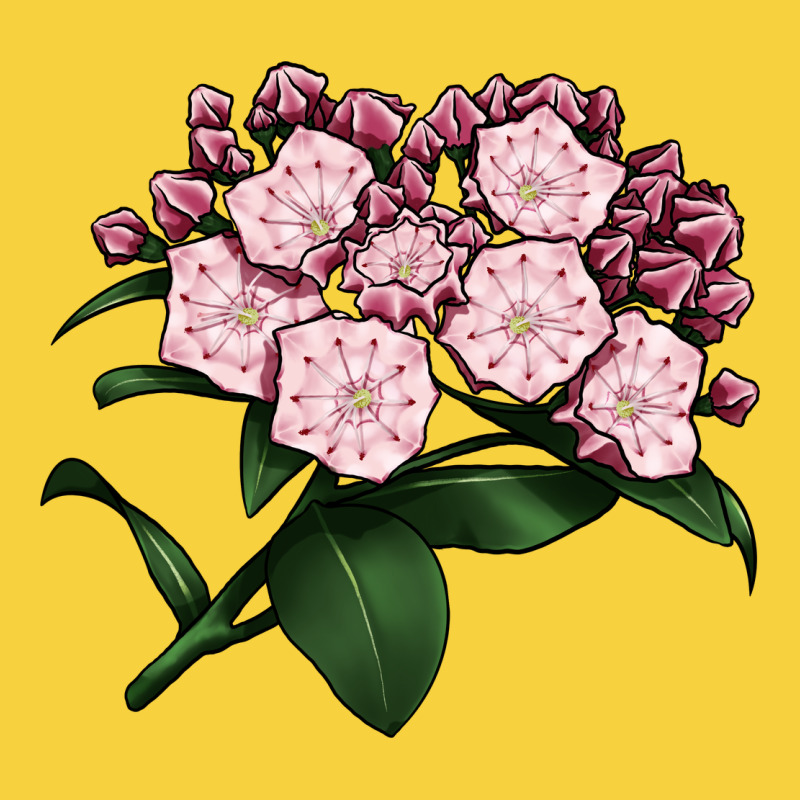 Mountain Laurel Flower Illustrations Premium Sweatshirt by LillyAllenDesigns | Teevron