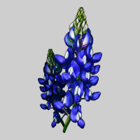 Bluebonnet Flower Illustrations Premium Sweatshirt | Teevron