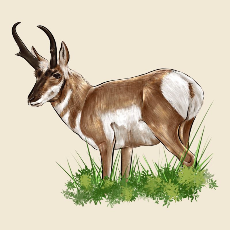 Pronghorn Ladies Tee by LillyAllenDesigns | Teevron