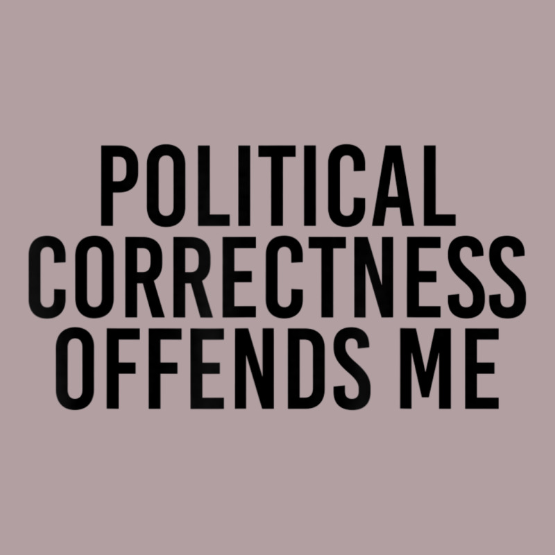 Political Correctness Offends Me Vintage Hoodie by tuanDangUi | Teevron