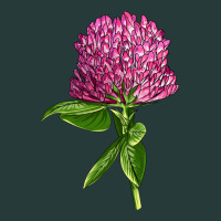 Red Clover Illustrations Premium Sweatshirt | Teevron