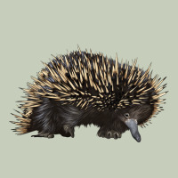 Short Beaked Echidna Ladies Tee | Teevron