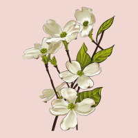 American Dogwood Flower Illustrations Premium Sweatshirt | Teevron