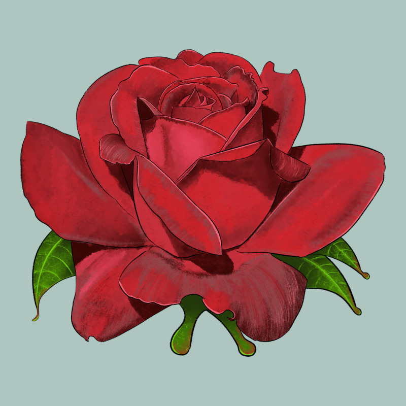 Oklahoma Rose Illustrations Premium Sweatshirt by LillyAllenDesigns | Teevron