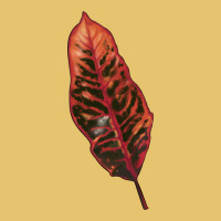 Croton Leaf Premium Sweatshirt | Teevron