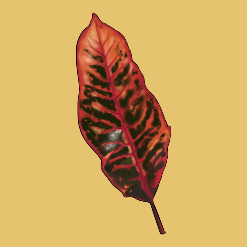 Croton Leaf Premium Sweatshirt by LillyAllenDesigns | Teevron