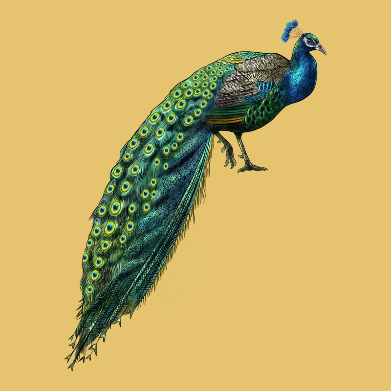 Peacock Premium Sweatshirt by LillyAllenDesigns | Teevron
