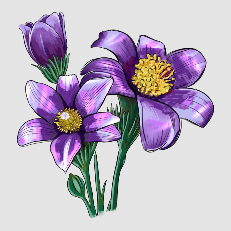Pasque Flower Illustrations Premium Sweatshirt by LillyAllenDesigns | Teevron