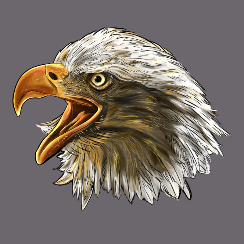 Bald Head Eagle Premium Sweatshirt by LillyAllenDesigns | Teevron