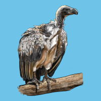 Vulture Bird Premium Sweatshirt | Teevron