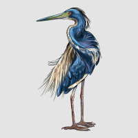 Louisiana Heron Premium Sweatshirt | Teevron