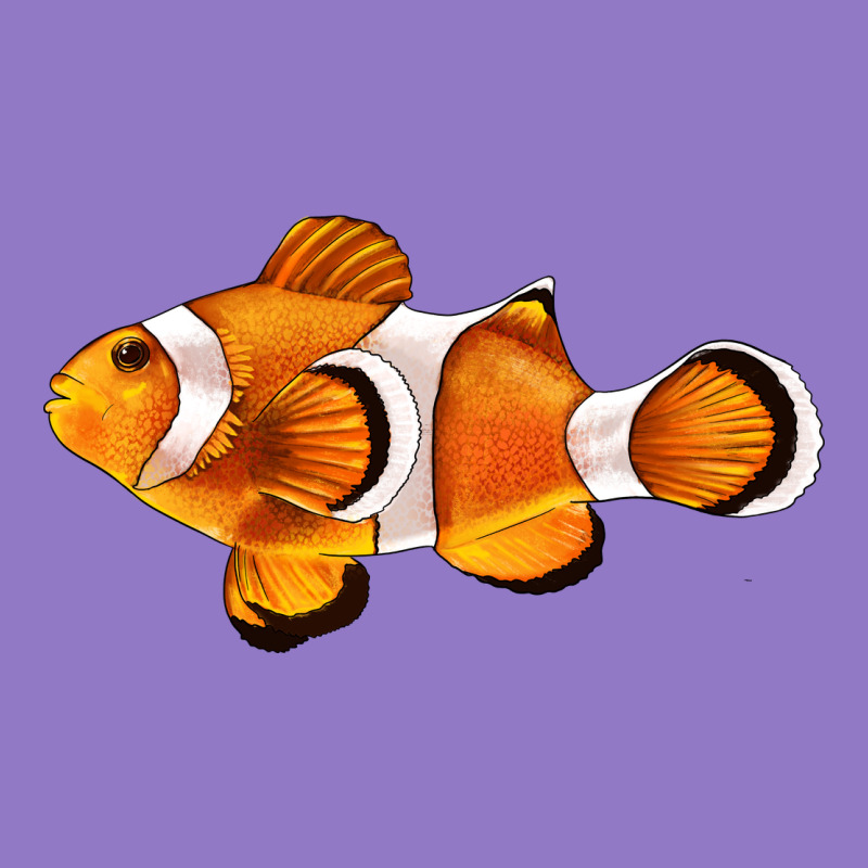 Clown Fish Side Urban Hoodie by BarkalooDesign | Teevron