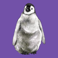 Baby Penguin Premium Sweatshirt | Teevron