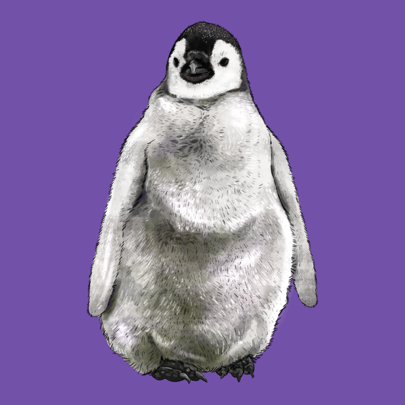 Baby Penguin Premium Sweatshirt by LillyAllenDesigns | Teevron