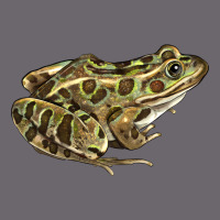 Northern Leopard Frog Premium Sweatshirt | Teevron