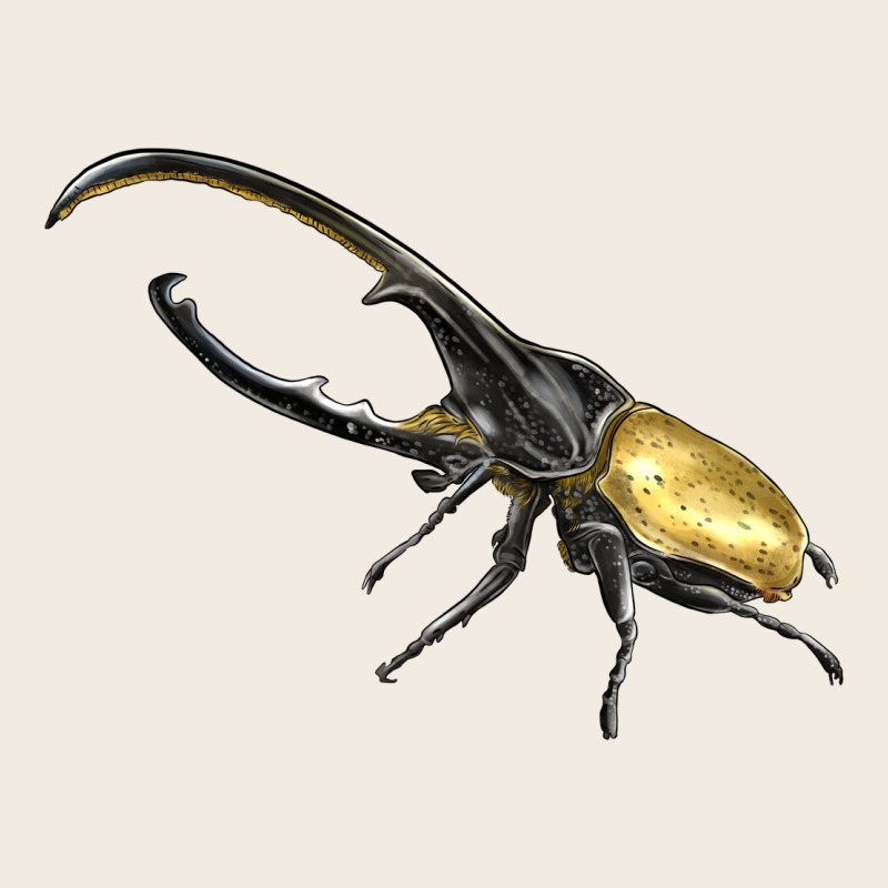 Hercules Beetle Side Premium Sweatshirt by LillyAllenDesigns | Teevron