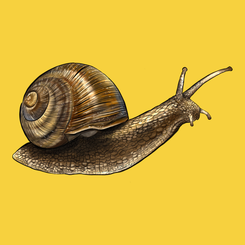Snail Premium Sweatshirt by LillyAllenDesigns | Teevron