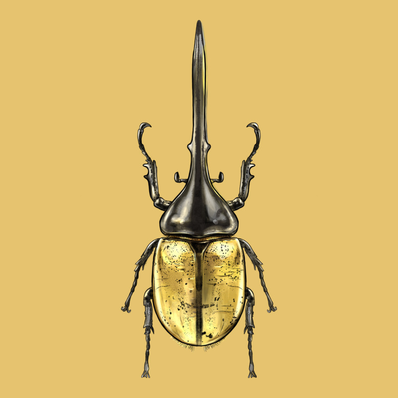 Hercules Beetle Premium Sweatshirt by LillyAllenDesigns | Teevron