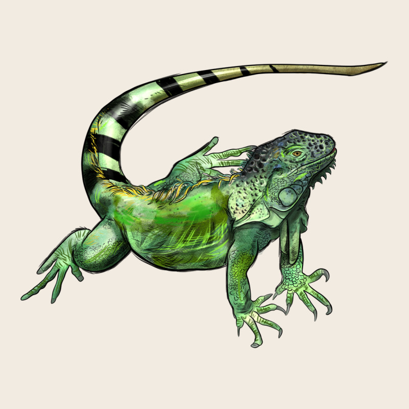 İguana Premium Sweatshirt by LillyAllenDesigns | Teevron