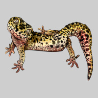 Gecko Lizard Illustrations Premium Sweatshirt | Teevron