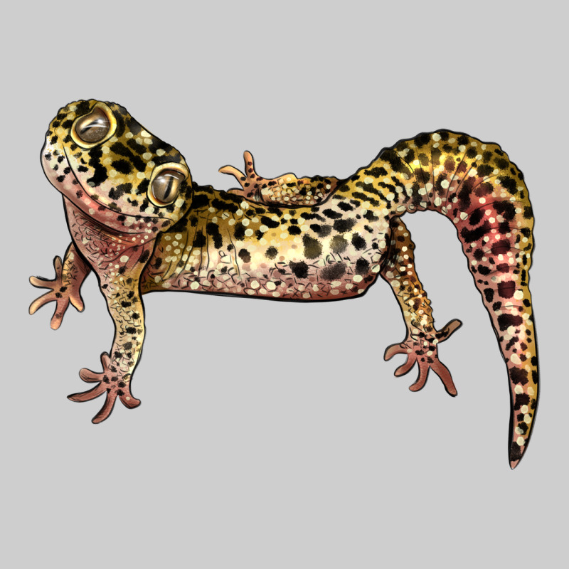 Gecko Lizard Illustrations Premium Sweatshirt by LillyAllenDesigns | Teevron