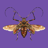 Acrocinus Beetle With Wings Premium Sweatshirt | Teevron