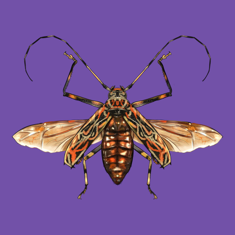 Acrocinus Beetle With Wings Premium Sweatshirt by LillyAllenDesigns | Teevron