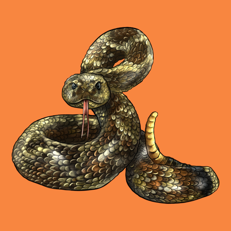 Rattlesnake Premium Sweatshirt by LillyAllenDesigns | Teevron