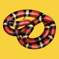 Milk Snake Premium Sweatshirt | Teevron