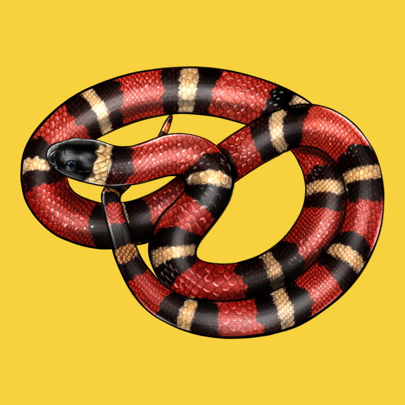 Milk Snake Premium Sweatshirt by LillyAllenDesigns | Teevron
