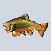 Leaping Brook Trout Premium Sweatshirt | Teevron