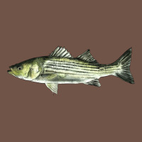 Striped Bass Premium Sweatshirt | Teevron
