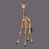 Baby Giraffe Premium Sweatshirt | Teevron