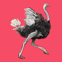 Ostrich Premium Sweatshirt | Teevron