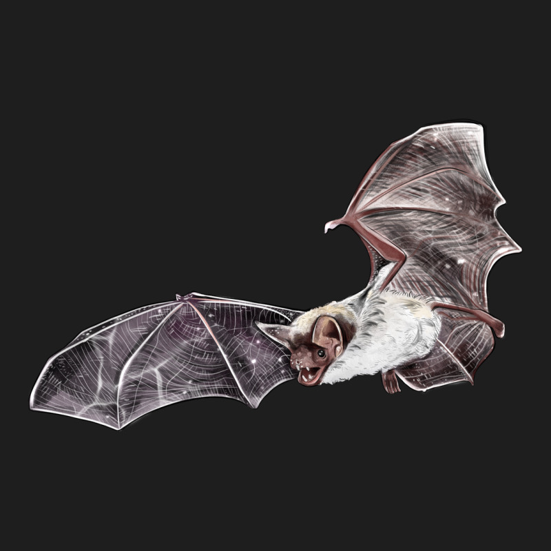 Mexican Free Tailed Bat Heavyweight Hoodie by LillyAllenDesigns | Teevron