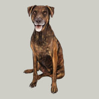 Plott Hound Heavyweight Hoodie | Teevron