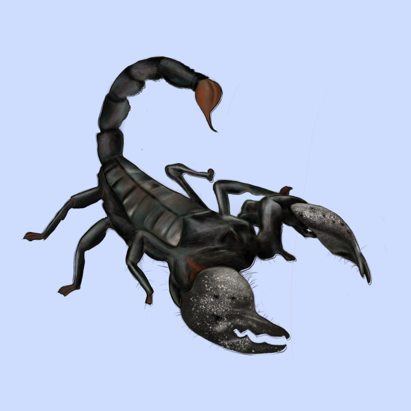 Scorpion Urban Heavy Tee by JahusDesignShop | Teevron